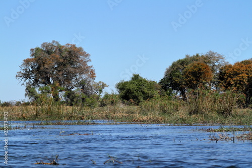 Landschaft im Okavango Delta in Botswana  photo