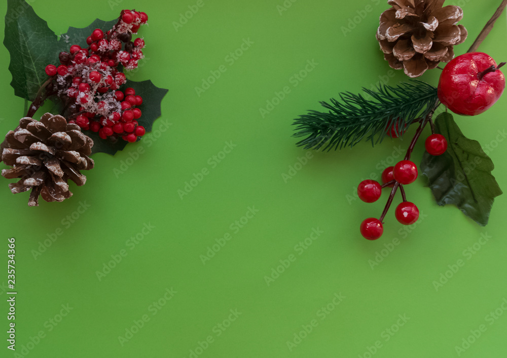  cones, leaves and red berries on a juicy green background