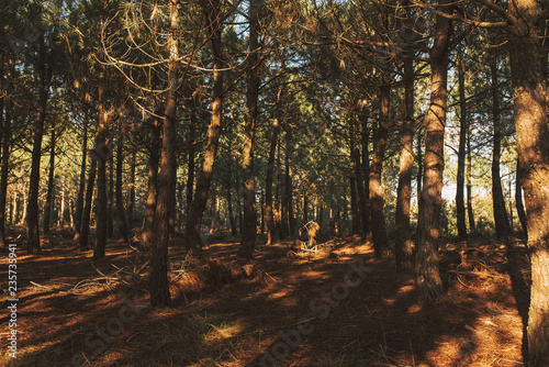 Corredor of Montnegre, Catalonia, Spain.