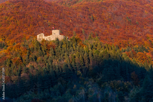 Zamek średniowieczny w Rytrze ,Beskid Sądecki,małopolska.Polska. photo