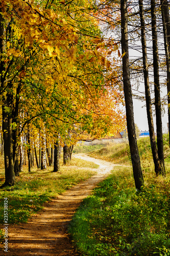 Path
