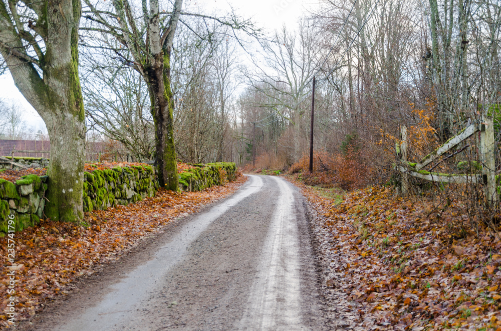 Naklejka premium Gravel road in an old rural landscape