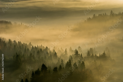 Jesienne mgły w Beskidzie Sądeckim,małopolska.