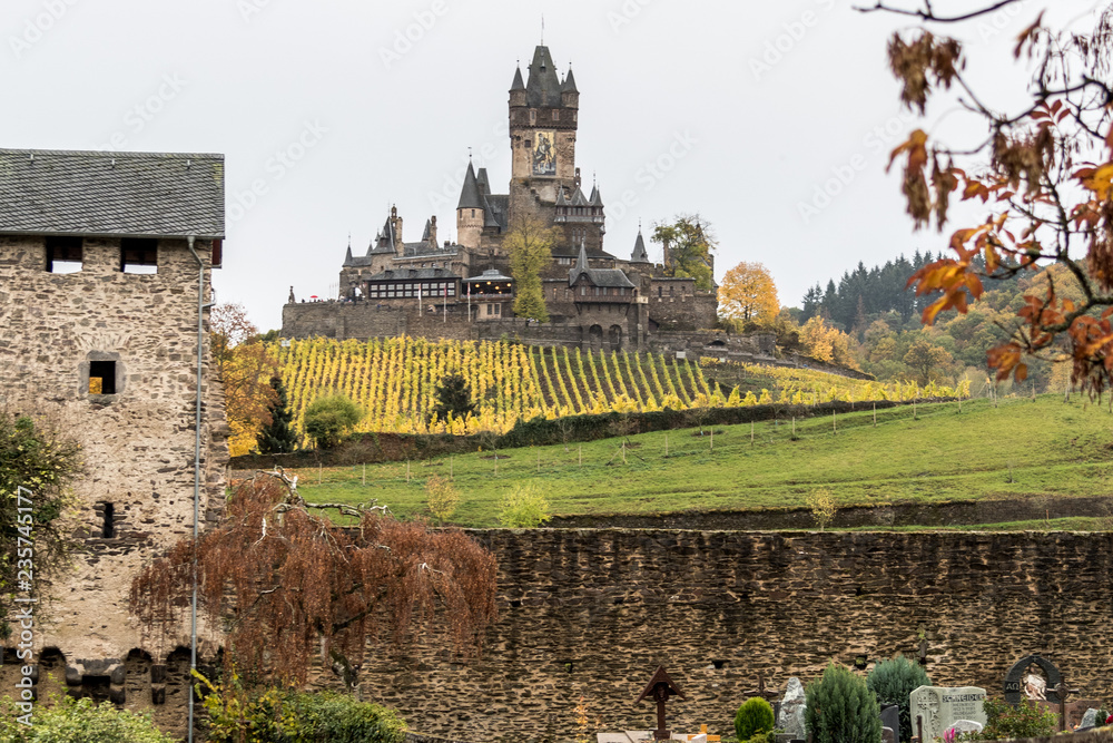 Castle and vineyard