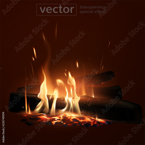 Burning fire in the fireplace. Firewood, coals, sparks, smoke. The effect of transparency. Highly realistic illustration.