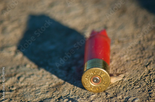 Shotgun cartridge on the ground