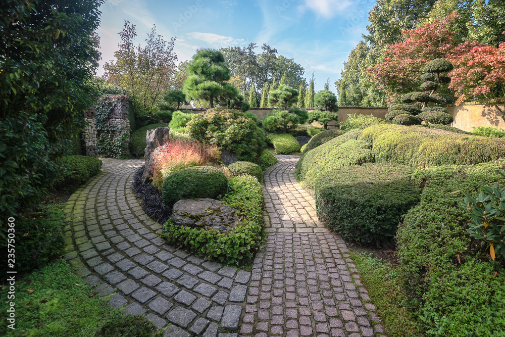 Beautiful design garden full of different types of buxus plants