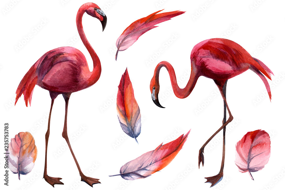 Fototapeta premium Watercolor flamingo pattern. Hand Drawn bird. Print for textile, cloth, wallpaper, scrapbooking