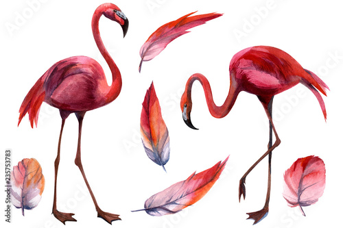 Watercolor flamingo pattern. Hand Drawn bird. Print for textile, cloth, wallpaper, scrapbooking © Artmirei