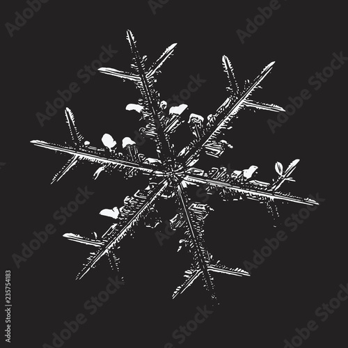 Glossy snowflake on black background. Vector illustration based on macro photo of real snow crystal: complex stellar dendrite with fine hexagonal symmetry, ornate shape and six thin, elegant arms.