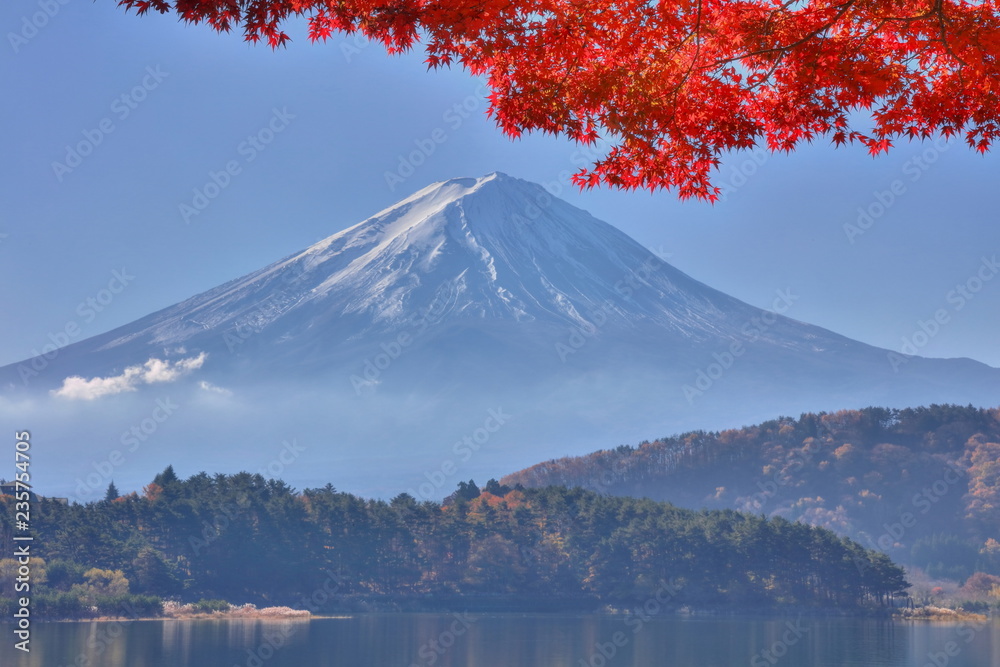 Fototapeta premium 富士山と紅葉