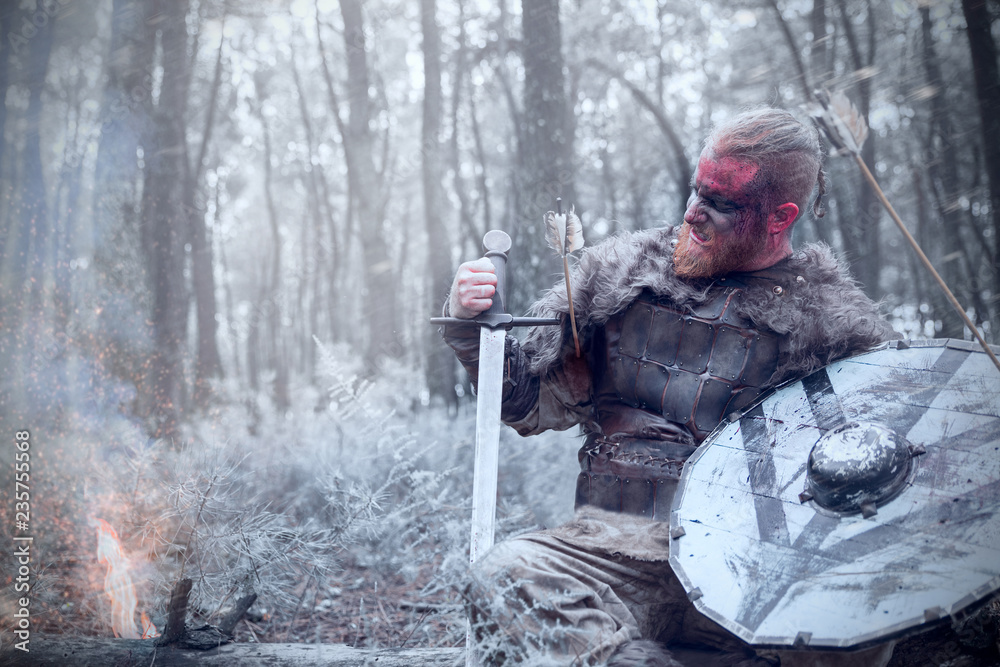 viking with red beard on the battlefield viking with red beard on the battlefield