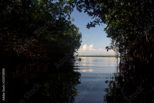 Manglares de Chacahua Parque Nacional Oaxaca