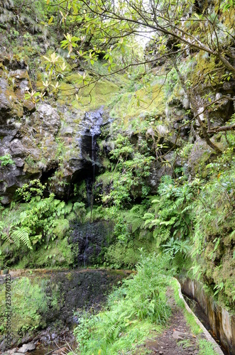 Levada walk from Ribeiro Frio to Portela  Madeira