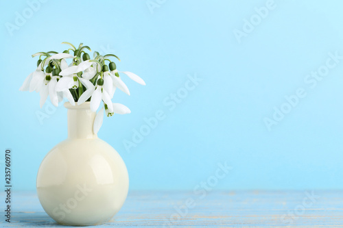Bouquet of snowdrop flowers in vase on mint background