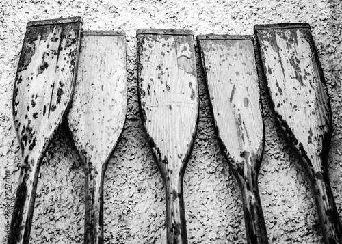 5 vintage wooden fishing boat oars black and white