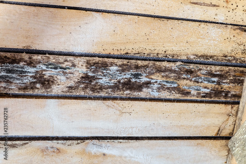 Rotting due to humidity and growth of molds  wooden roof structures. Wood roof construction damaged of black fungus. photo