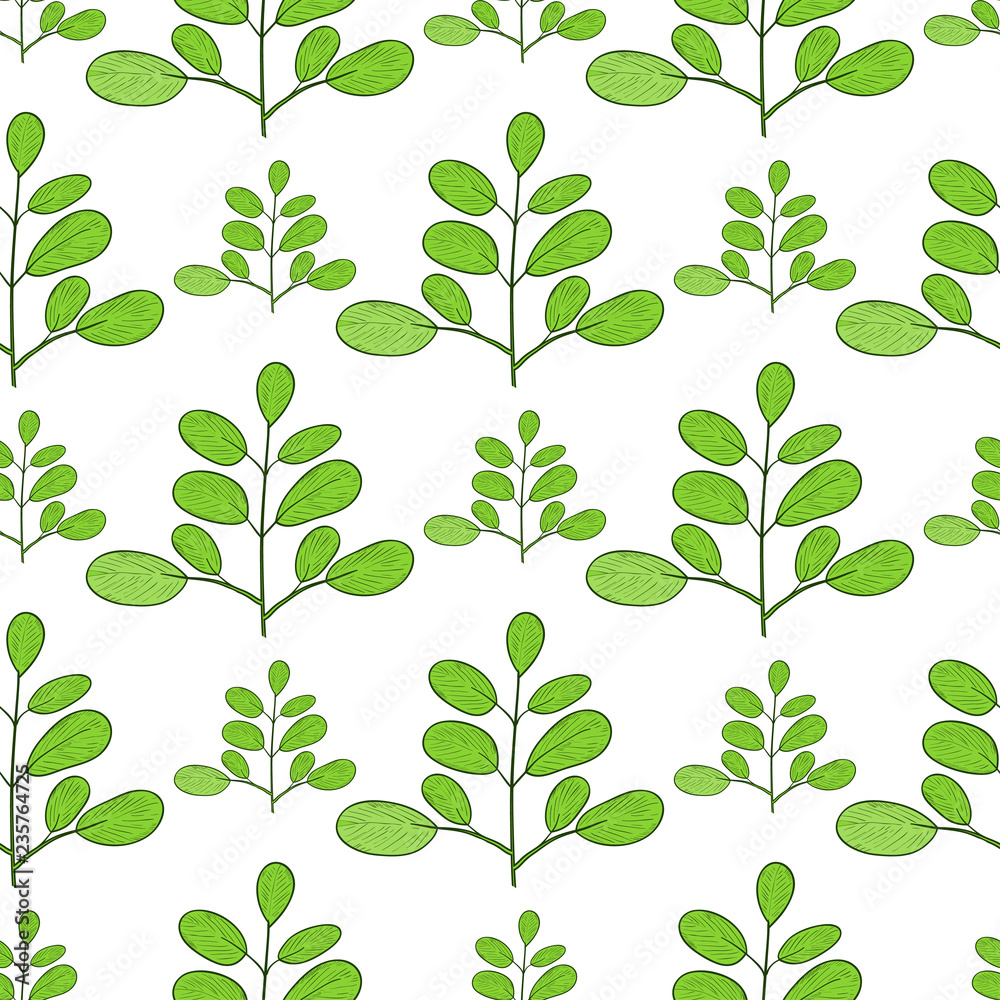 Moringa. Branch. Background, wallpaper, texture, seamless. Sketch. 