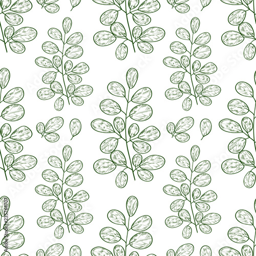 Moringa. Leaves. Background, wallpaper, seamless. Monophonic. Sketch. Can be used for packaging.