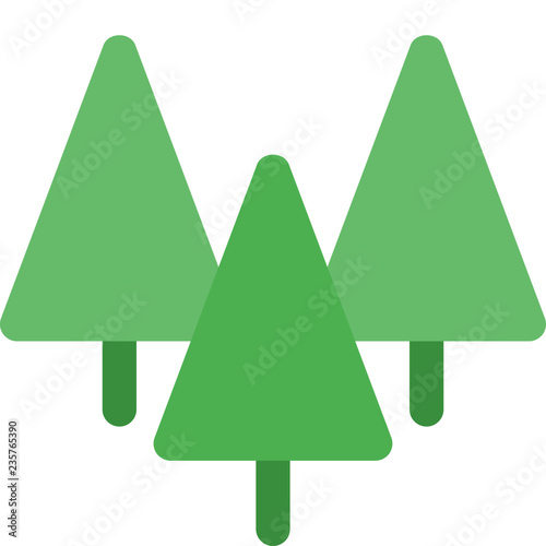 Pine trees in forest