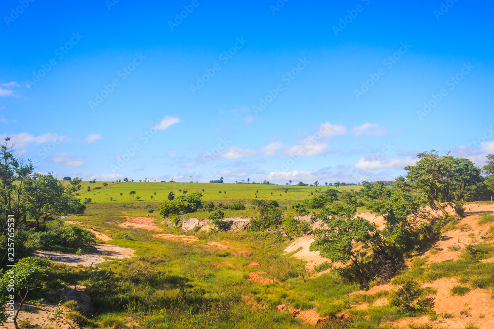 Natural landscape with blue sky in Mato Grosso do Sul.
