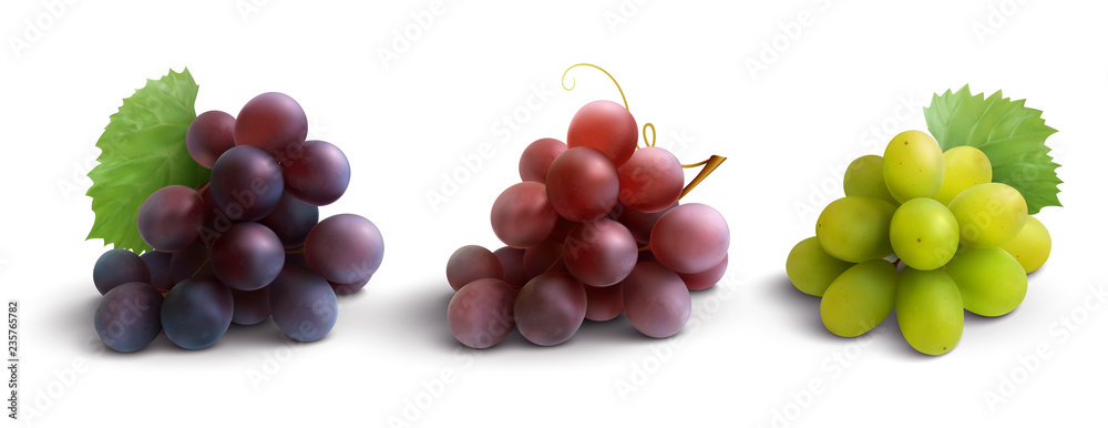 Grapes Realistic Composition Grapes Realistic Composition