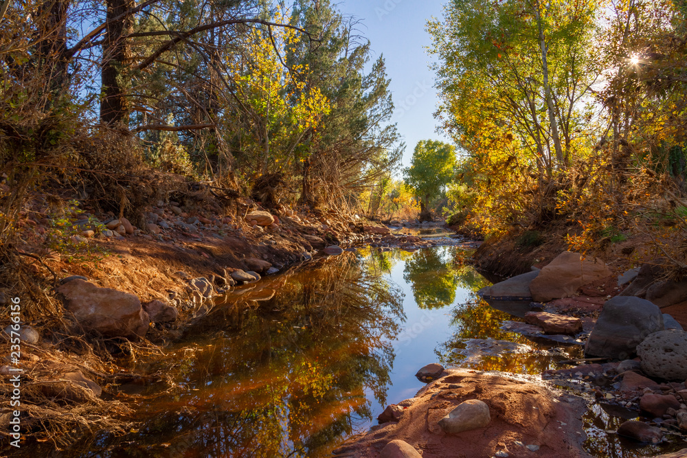 A creek flowing through the red rock desert of Sedona with fall colors.