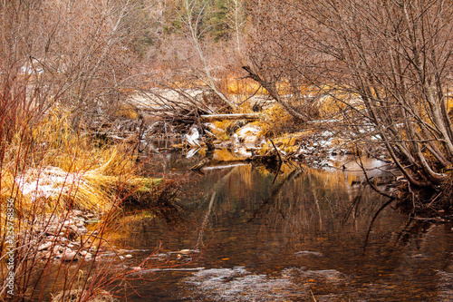 Fall Streams