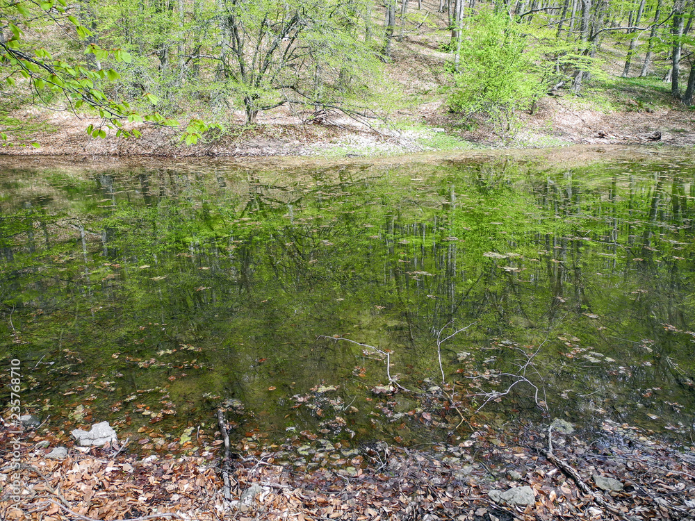 Small mountain lake in the forest at spring. Reflection of trees in the water. Small mountain lake in the forest at spring. Reflection of trees in the water.