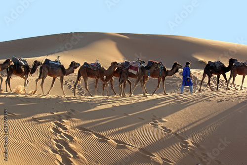 Camel caravan trekking in the Sahara desert