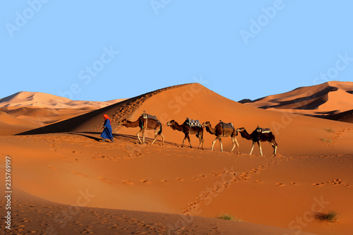 Camel caravan trekking in the Sahara desert