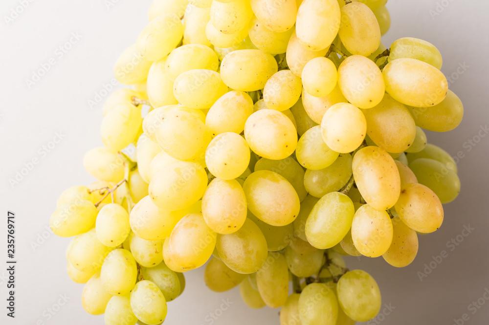 Harvest of grapes in autumn. Organic fruit. Harvest of grapes in autumn. Organic fruit.
