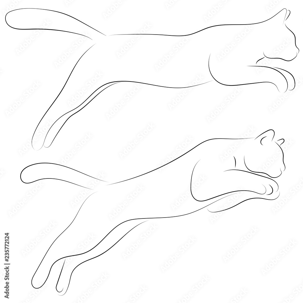 Two cats in sketch style. Set of black line cats on white background. Vector graphic icons animal.