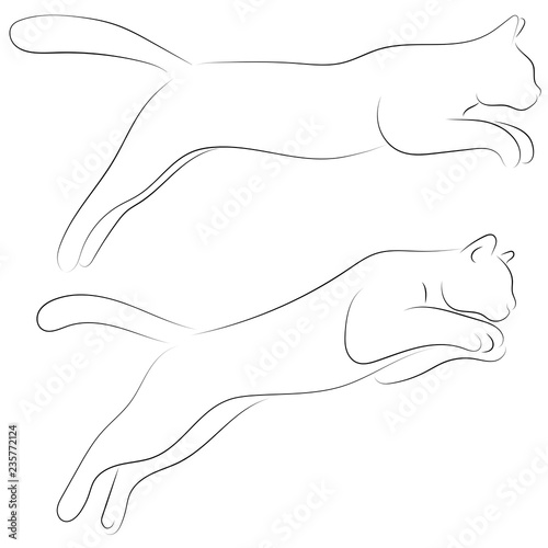 Fototapeta Naklejka Na Ścianę i Meble -  Two cats in sketch style. Set of black line cats on white background. Vector graphic icons animal.