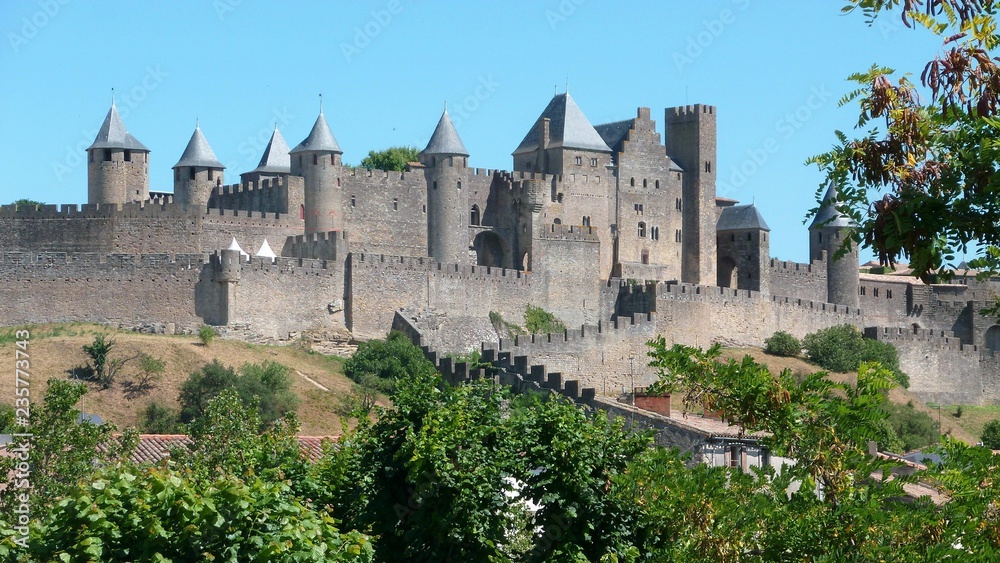 Vue sur les remparts de Carcassonne (France)