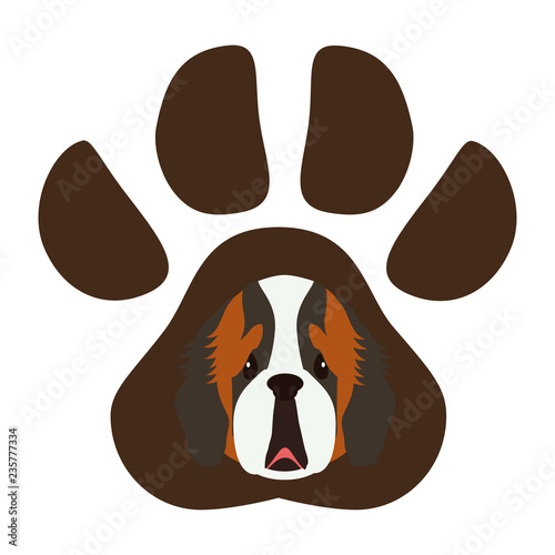 cute Saint Bernard dog in the paw print 