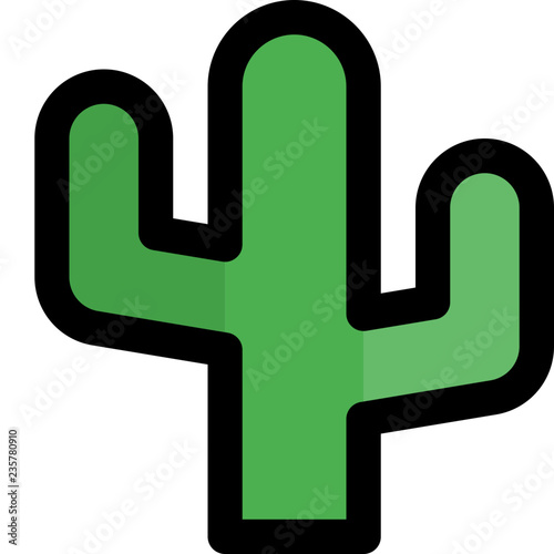 Desert succulent cactus