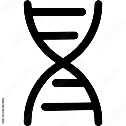 Deoxyribonucleic acid structure