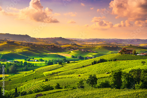 Langhe vineyards sunset panorama, Barolo, Piedmont, Italy Europe. photo