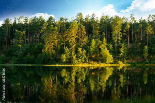 Obraz na płótnie Lake with trees w salonie