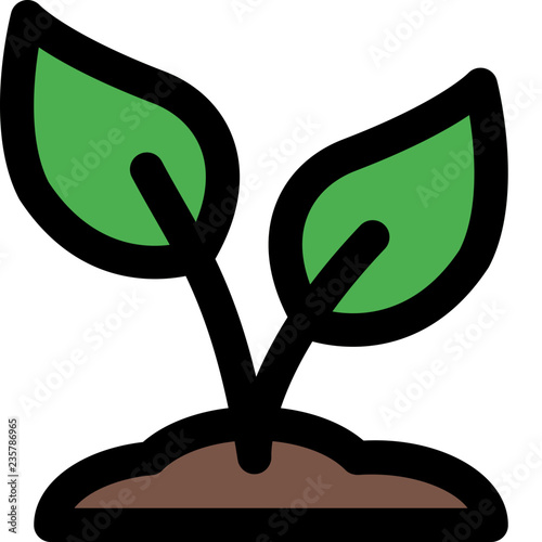 Plant seed sprout