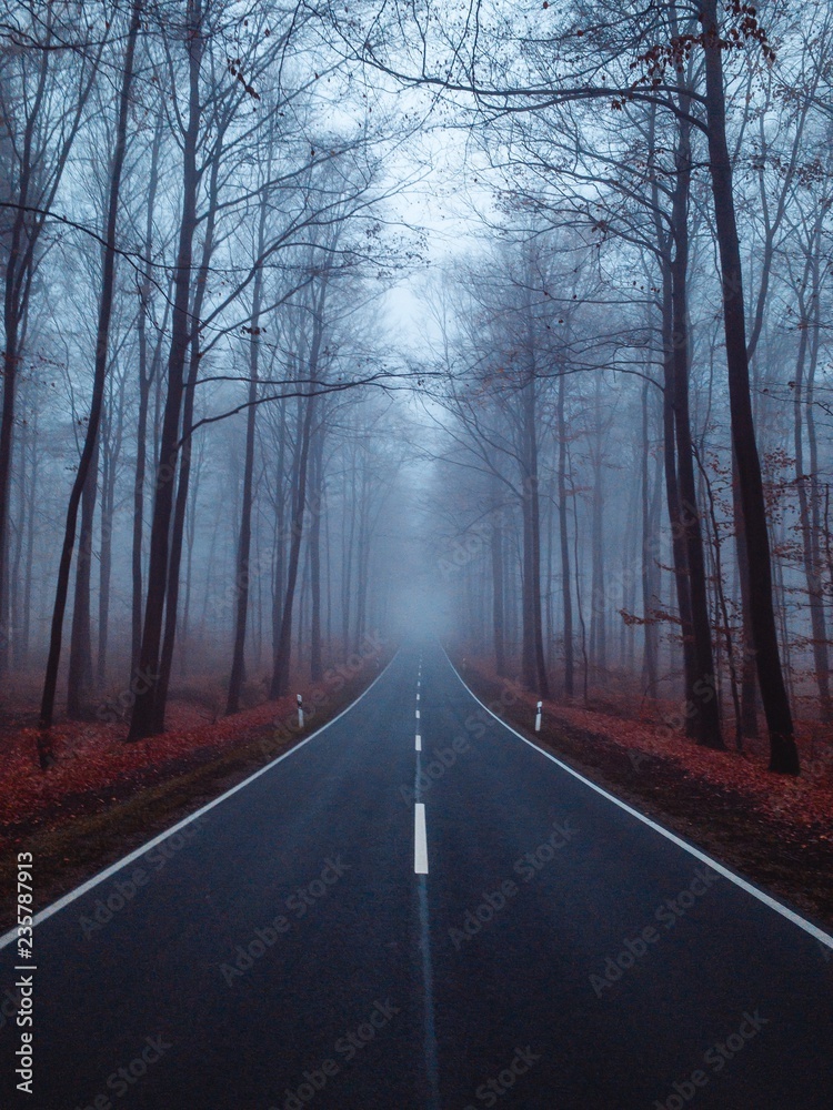 Fototapeta premium Foggy Highway