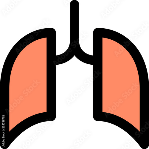 Lungs respiratory organ