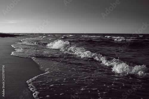 Baltic Sea beach black and white