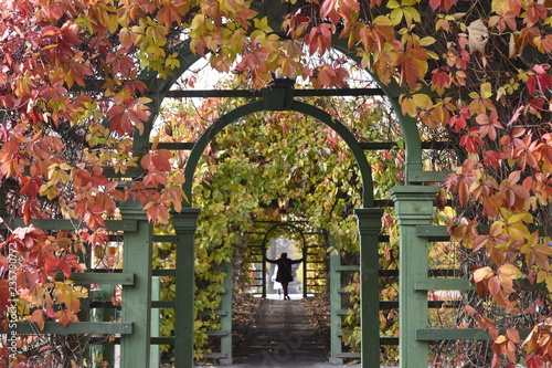 Fotografia, Obraz Autumn Archway at Kadriorg Palace - Tallinn, Estonia