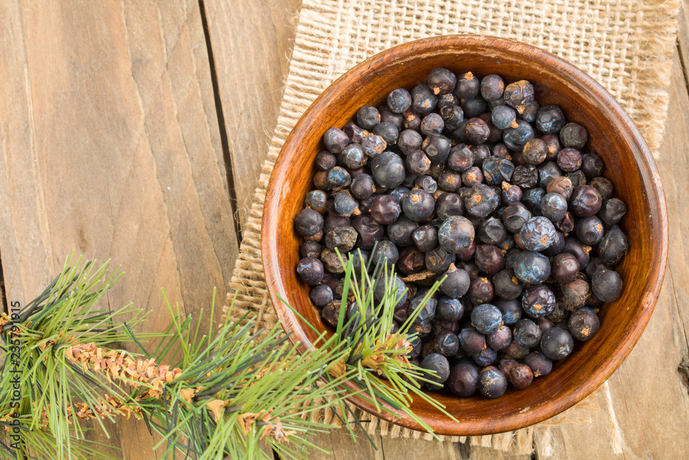 Fototapeta premium juniper berries in a bowl with a sprig