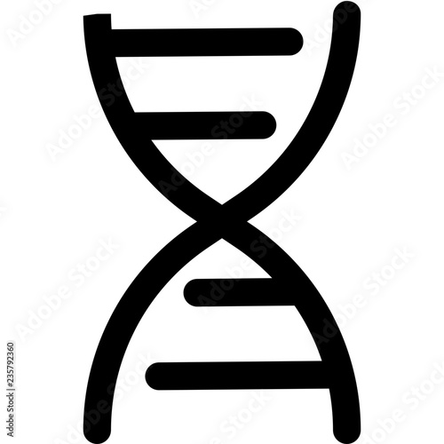 Deoxyribonucleic acid structure