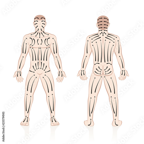 Dry skin brushing with direction of brush strokes. Health and beauty treatment for skincare and massage, and to stimulate the blood circulation. Illustration of a nude male body, front and back view.