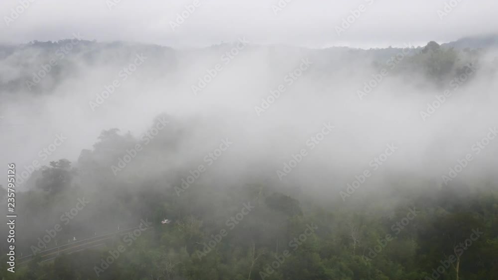 Traffic on the road through forest in the fog Traffic on the road through forest in the fog