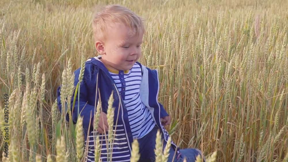Happy young boy going on field with wheat at sunny day. concept of Small farmer. Happy young boy going on field with wheat at sunny day. concept of Small farmer.